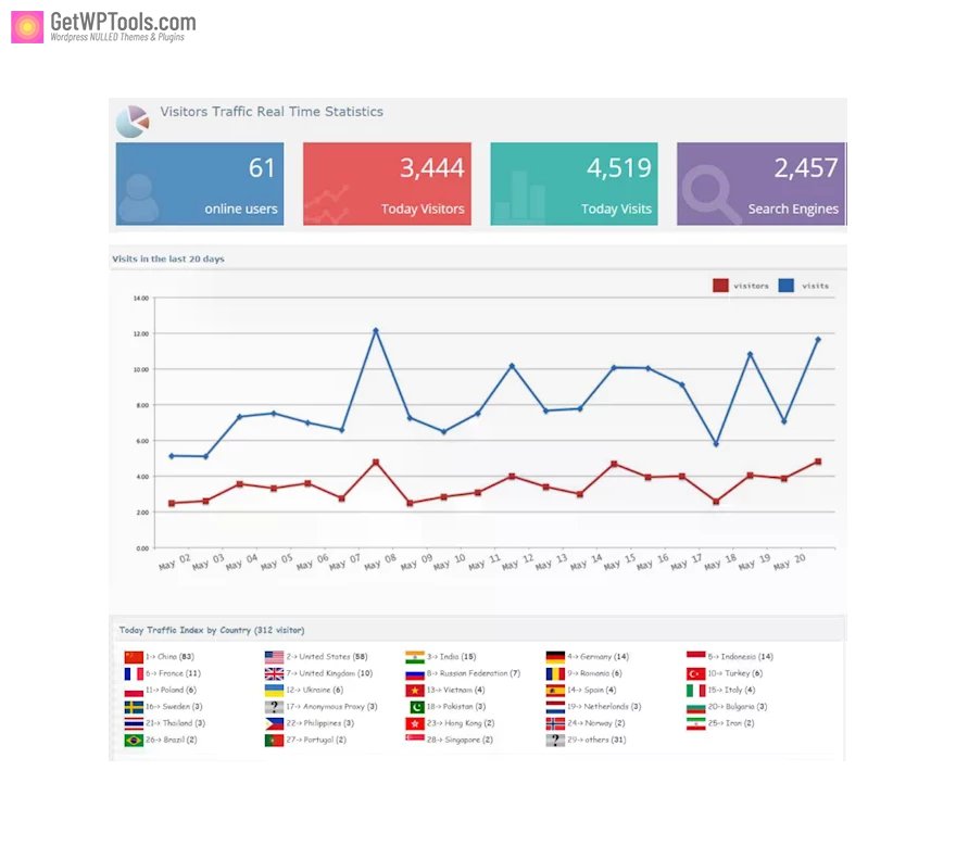 Visitor Traffic Real-Time Statistics